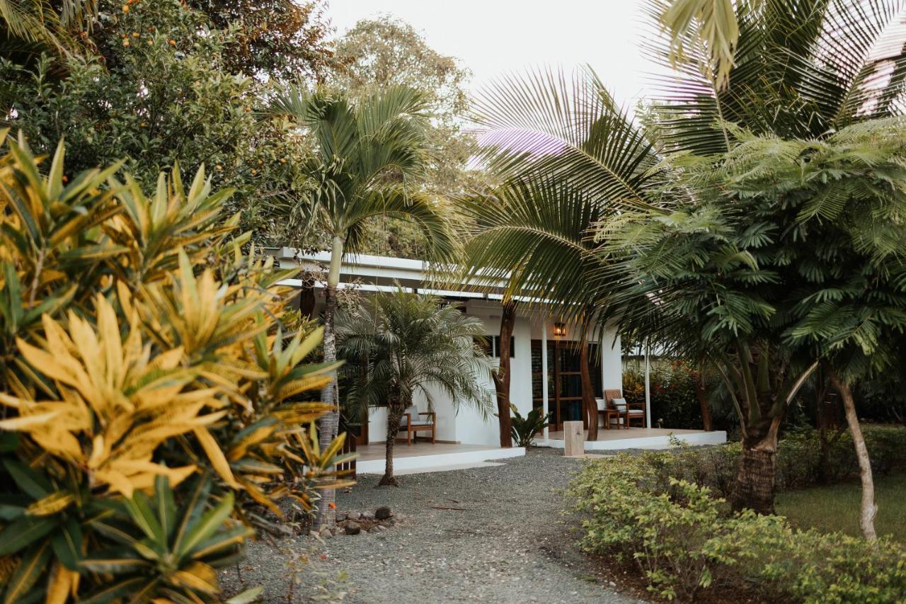 Salvatierra Beachfront Hotel Puerto Coyote Exterior foto